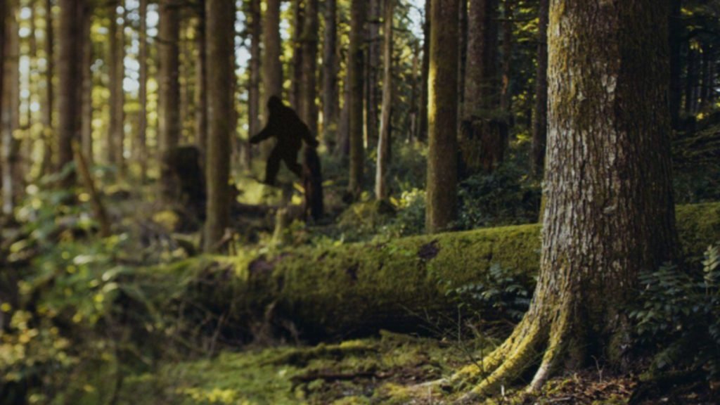 Bigfoot