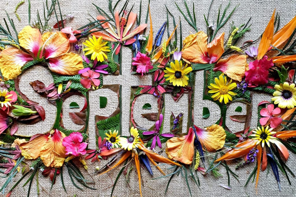 September