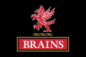 Brains Logo